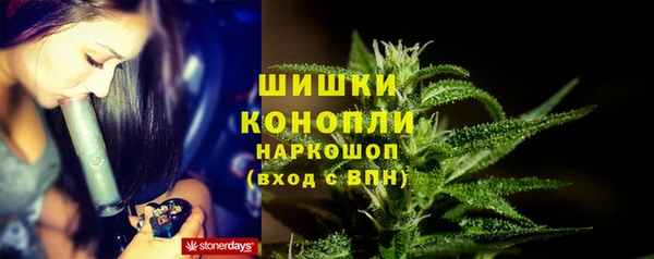 PSILOCYBIN Беломорск